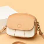 High-end women's bag 2025 new niche design crossbody bag mini round bag versatile fashion shoulder women's bag tide